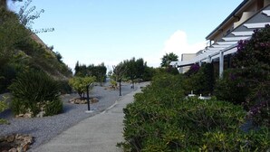 A pathway leading to a building with a covered outdoor area, surrounded by various plants and shrubs.