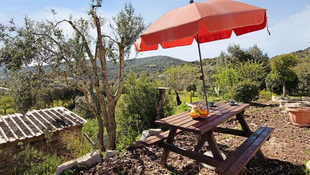 A wooden picnic table with a red umbrella, surrounded by trees and a view of hills. - Country House 'Tibagota' with Mountain View, Wi-Fi and Air Conditioning (São Brás de Alportel)