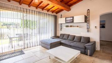 TV, DVD player, ping pong, streaming services