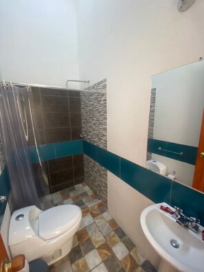 Ducha, cabezal de ducha tipo lluvia, secador de pelo