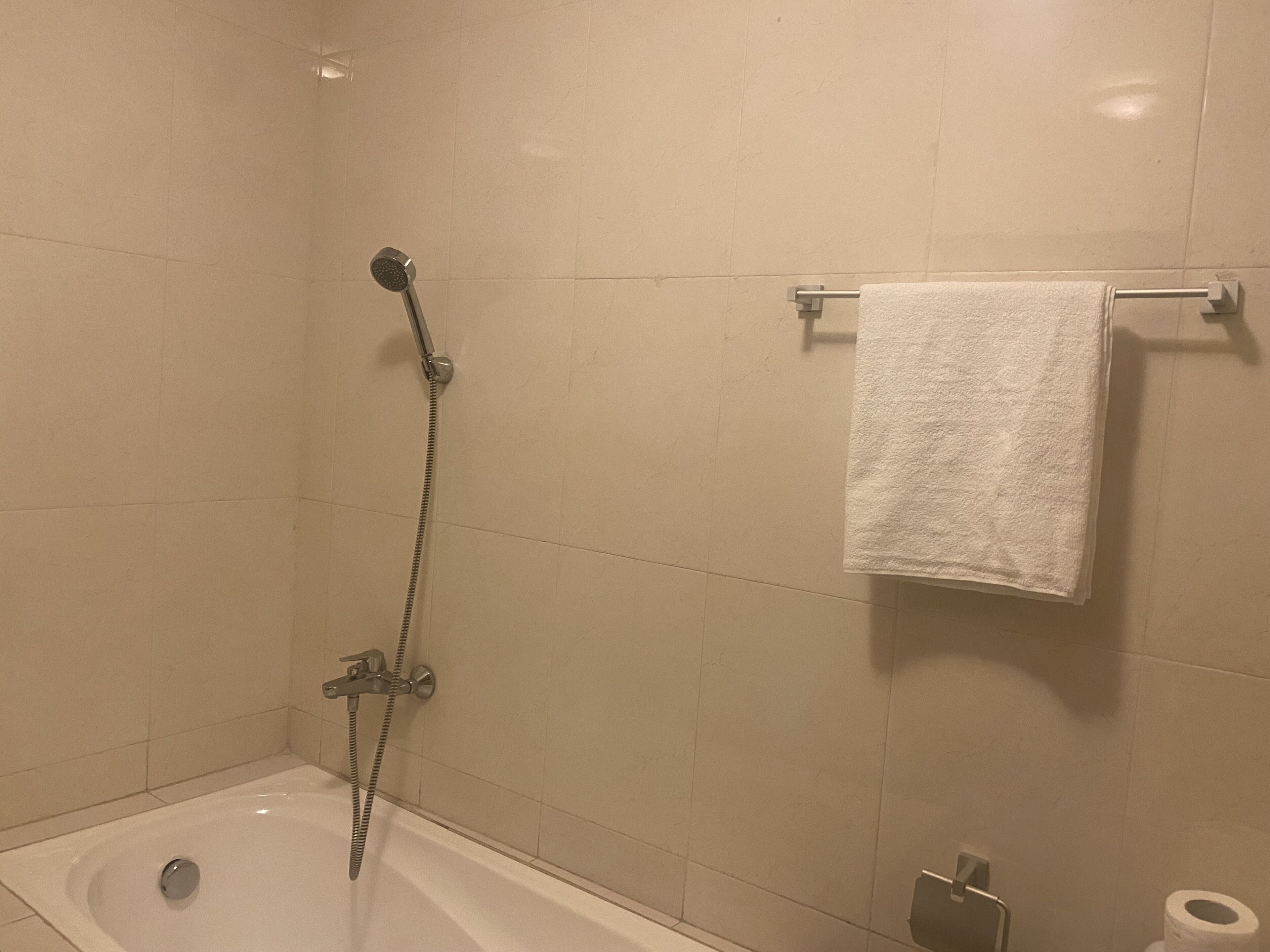 A bathroom with a bathtub, a shower with a handheld showerhead, a towel rack with a towel, and a toilet paper holder.