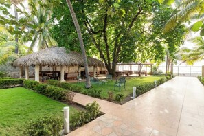 Terras
