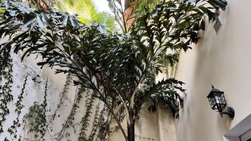 Apartamento design | Terraço/pátio