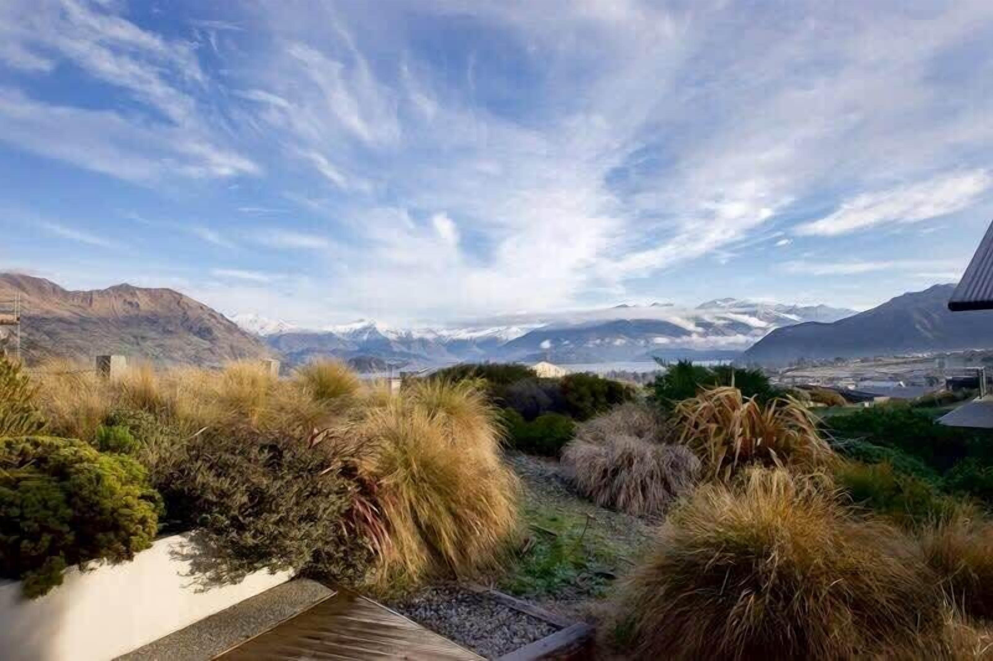 A garden with various plants and a view of distant mountains.