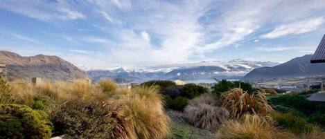 A garden with various plants and a view of distant mountains.