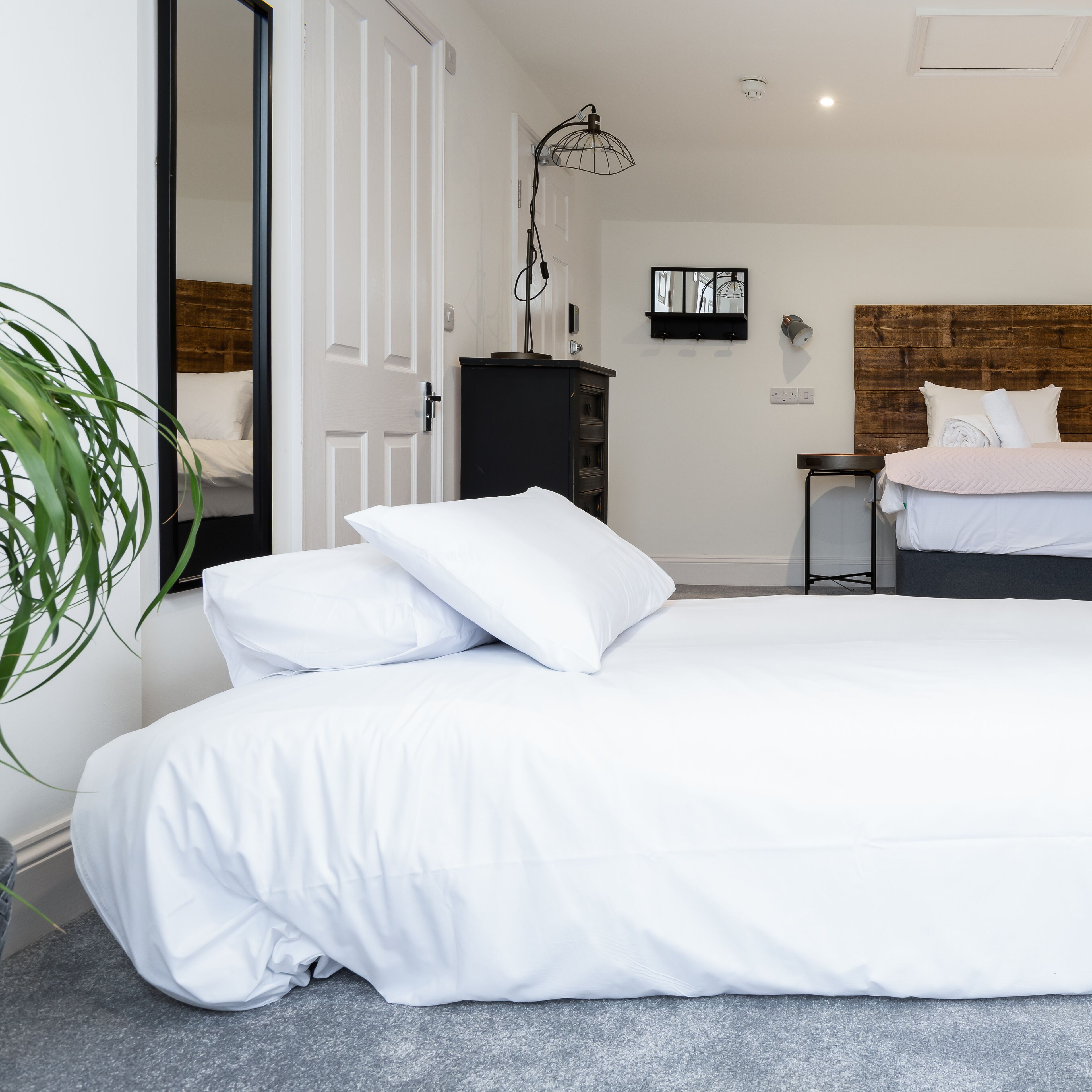 A bedroom with a bed, a dresser, a mirror, and a plant.