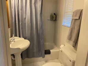 Combined shower/tub