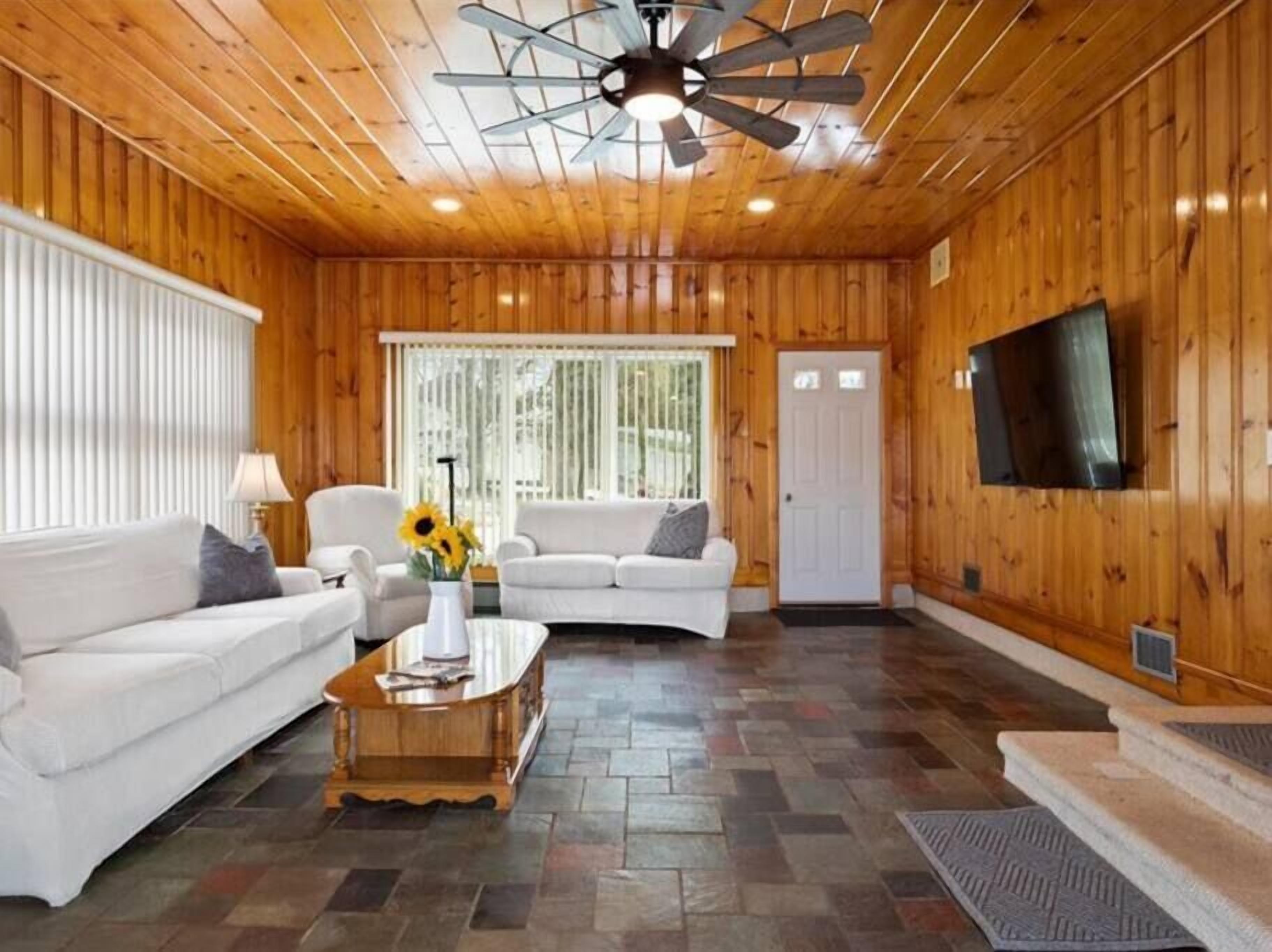 TV connectée, cheminée