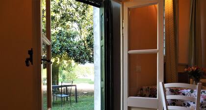 Magnolia Apartment