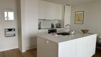 Fridge, oven, stovetop, dishwasher