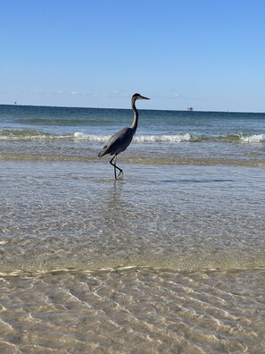 On the beach