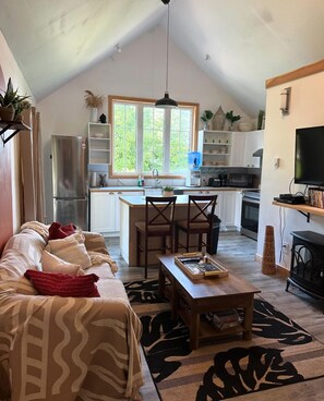 Fireplace, DVD player