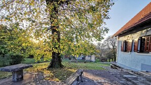 A courtyard with a large tree, a stone bench, and a building with a tiled roof.
