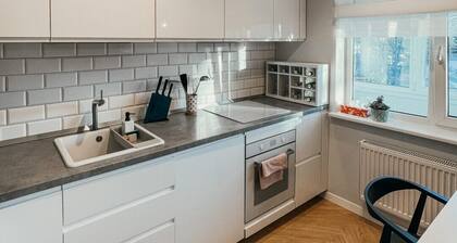 Vytautas Park Apartment