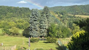Un paisaje verde exuberante con un árbol de hoja perenne destacado, una cerca de madera y una zona con césped y un banco.