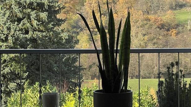 Un balcón con vistas a una colina, una planta en maceta y un florero.