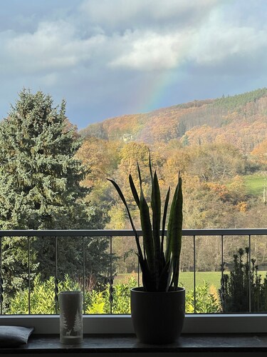 Vacation home EifelOne in Heimbach - your home in the Rureifel