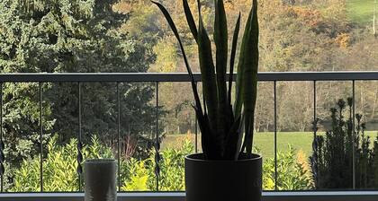 Vacation home EifelOne in Heimbach - your home in the Rureifel