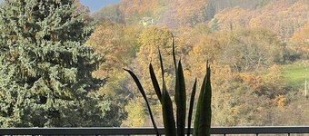 Vacation home EifelOne in Heimbach - your home in the Rureifel