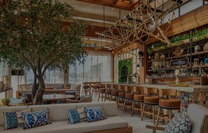 Bar (en la propiedad)