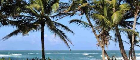 Beach nearby, sun-loungers, beach towels