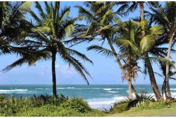 Playa en los alrededores, camastros y toallas de playa