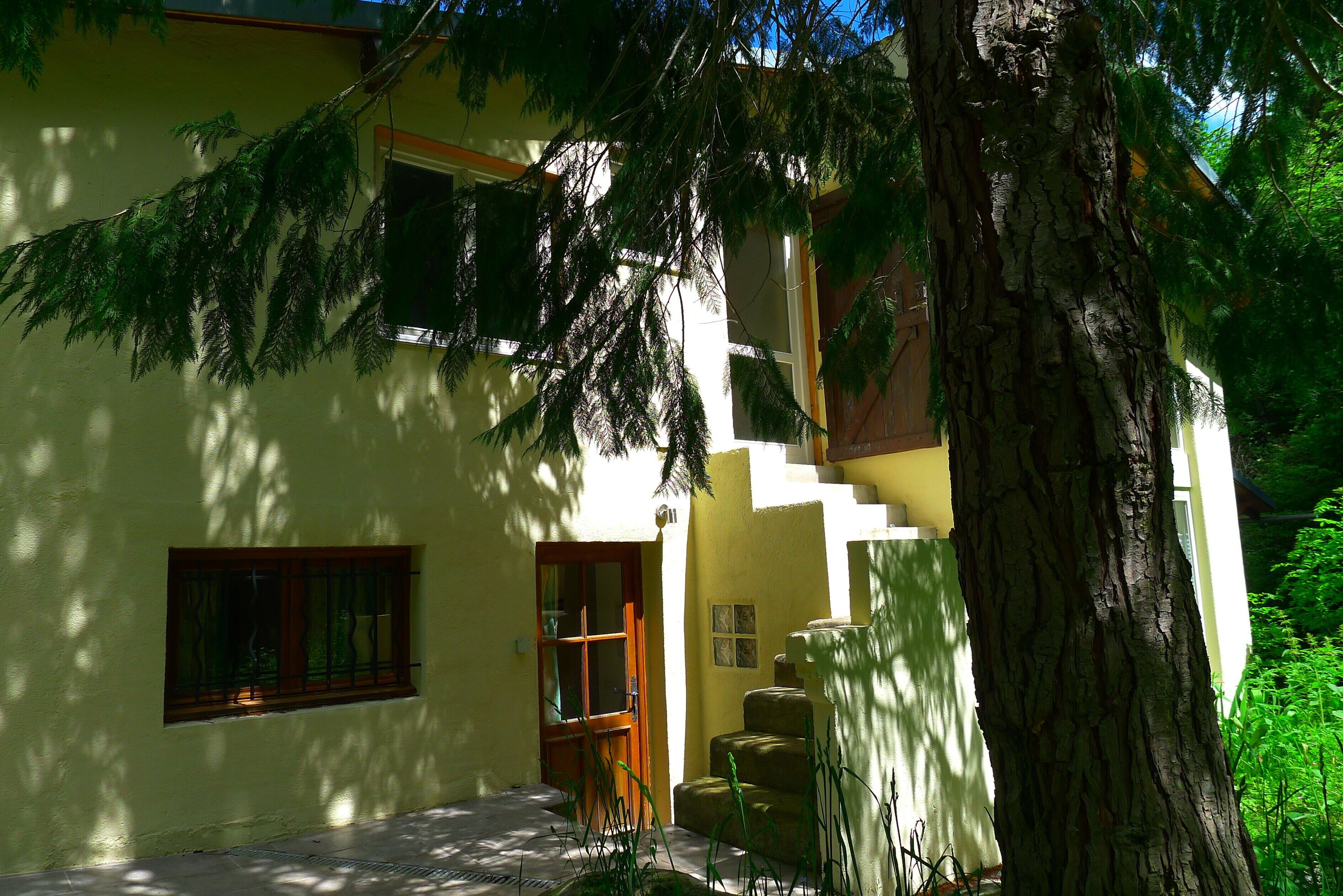 A building with a large tree in front, a window, and a door.