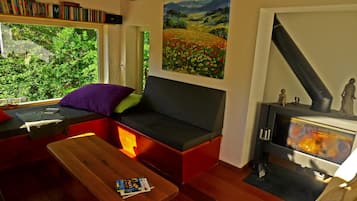 Smart-tv, een open haard, een dvd-speler en boeken