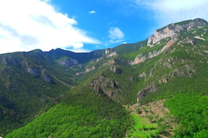 A mountainous landscape with dense green forests and rocky cliffs. - The River Mountain House at 1,000m altitude in the Pyrenées-Orièntales (Nohèdes)