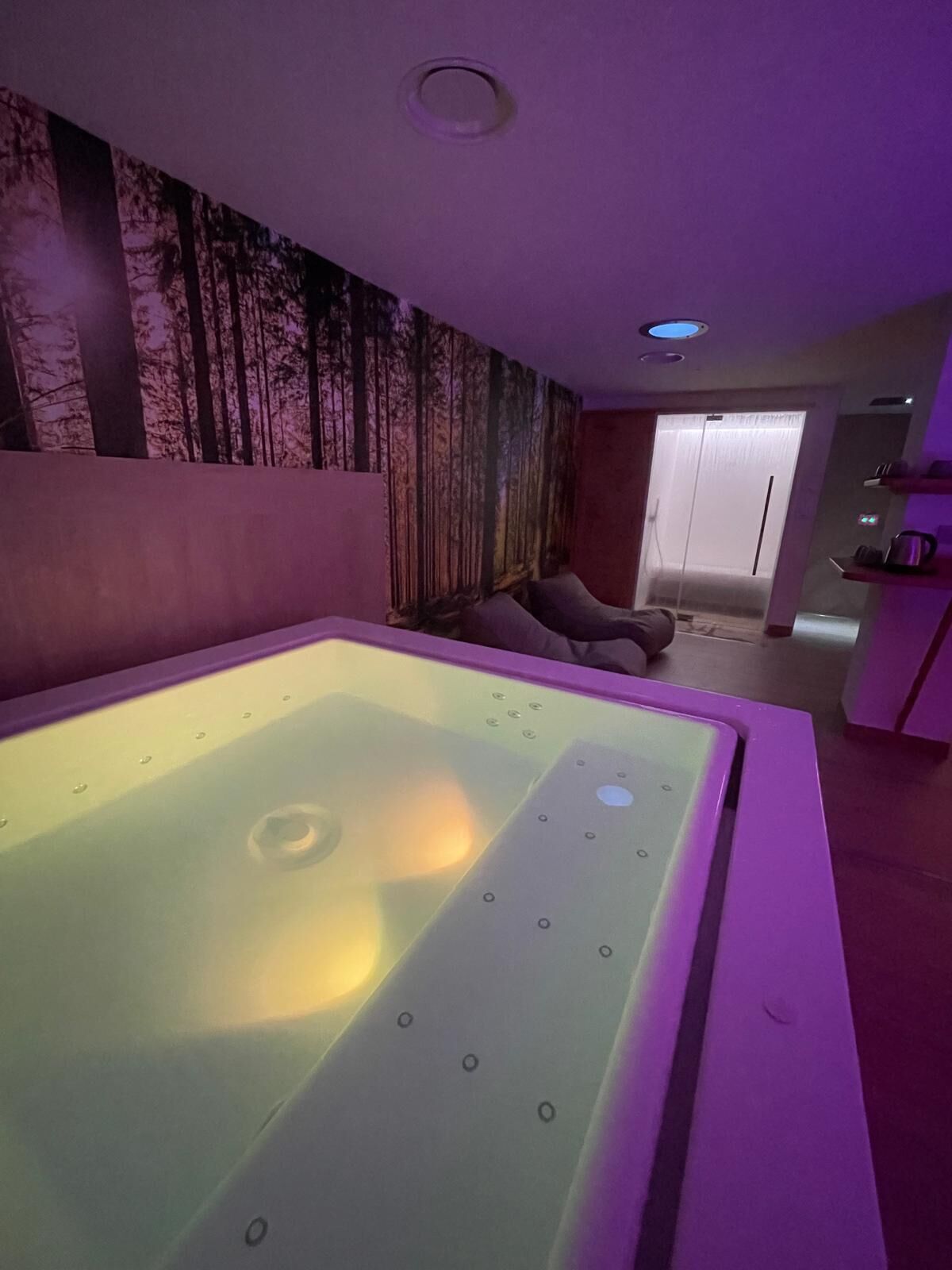 Ein Zimmer mit einer großen, beheizten Badewanne, einer Wand mit einem Waldfries und einer Tür zu einem weiteren Raum.