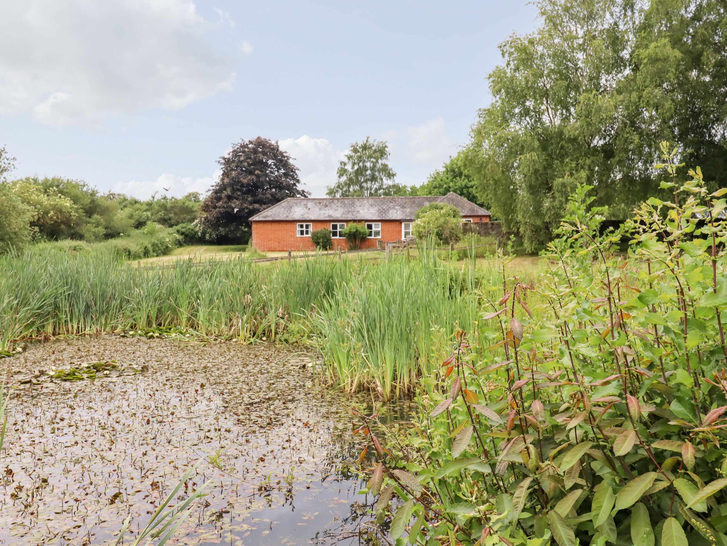 A rustic house surrounded by lush greenery and a pond.