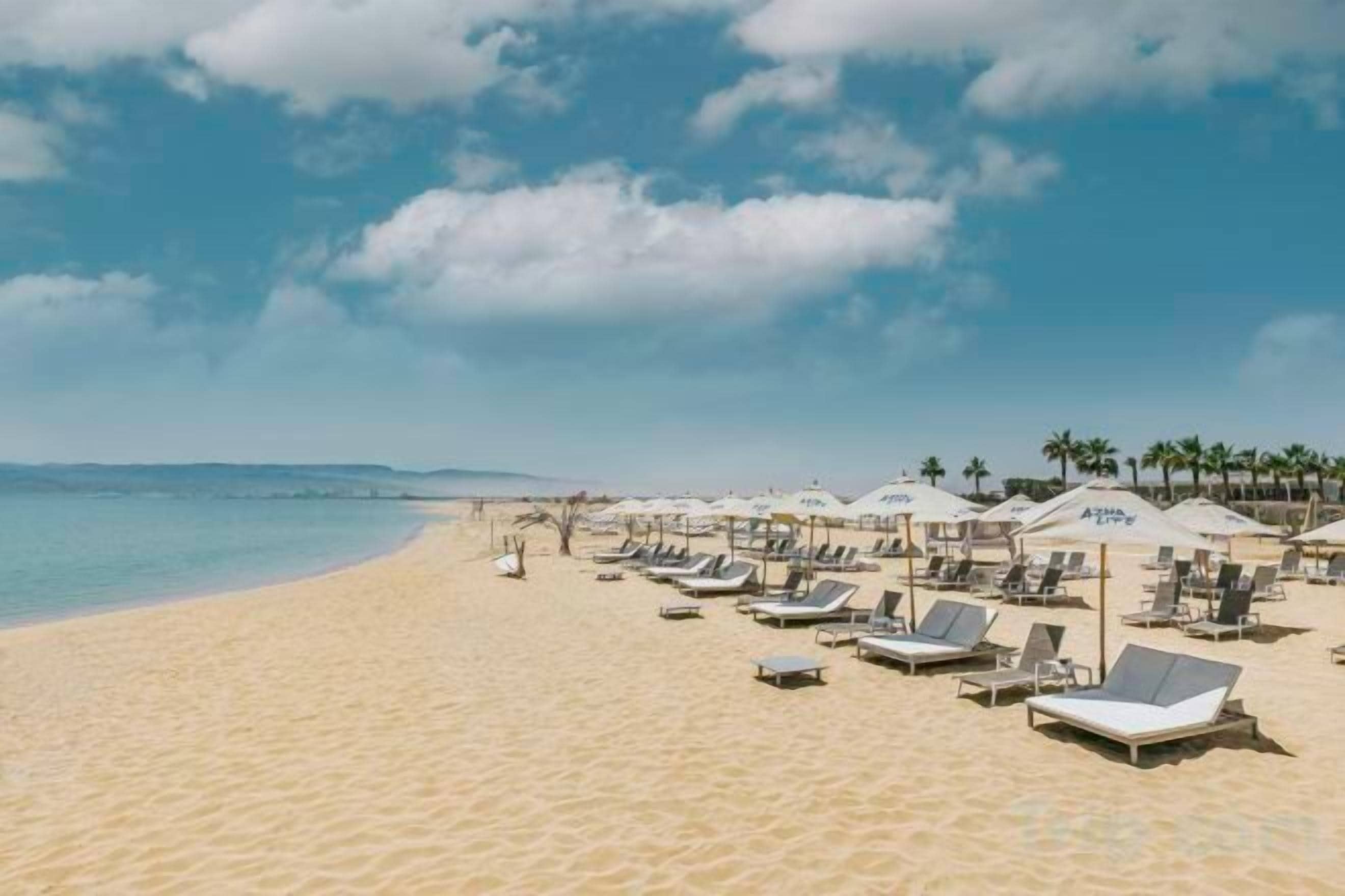 A beach with sun loungers and umbrellas, a clear sky, and a calm sea.