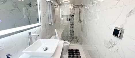 Regadera, secadora de cabello, bidet, toallas