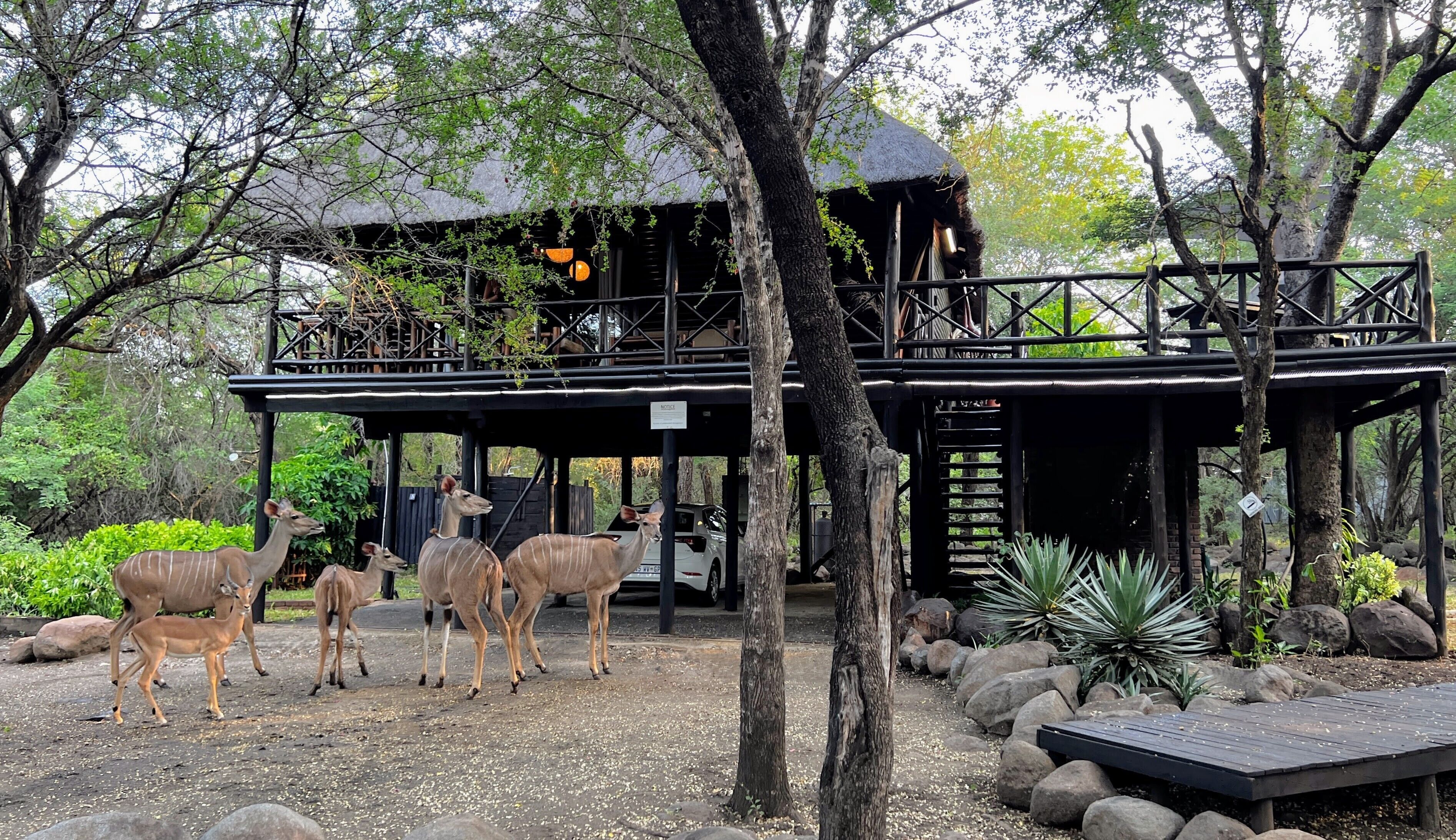 A building with a covered outdoor area, surrounded by trees and rocks.