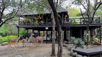 A building with a covered outdoor area, surrounded by trees and rocks.
