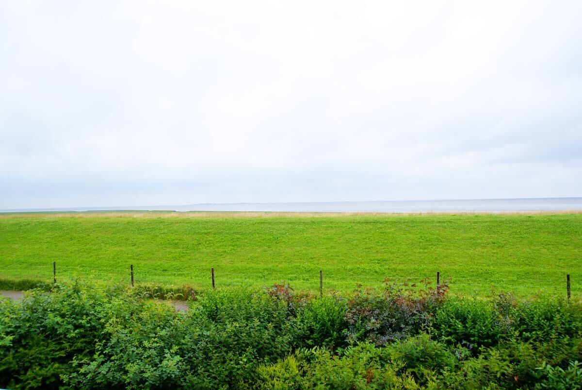 Un extenso campo verde con una cerca al frente y un horizonte llano en la distancia.