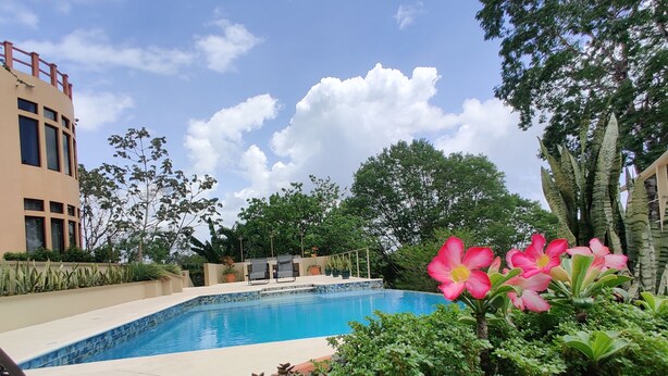 A swimming pool surrounded by lush greenery and a building with large windows. - Luxury, affordable, close to town and all of the attractions in the CAYO area... (Santa Elena)