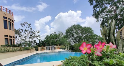 Luxury, affordable, close to town and all of the attractions in the CAYO area...
