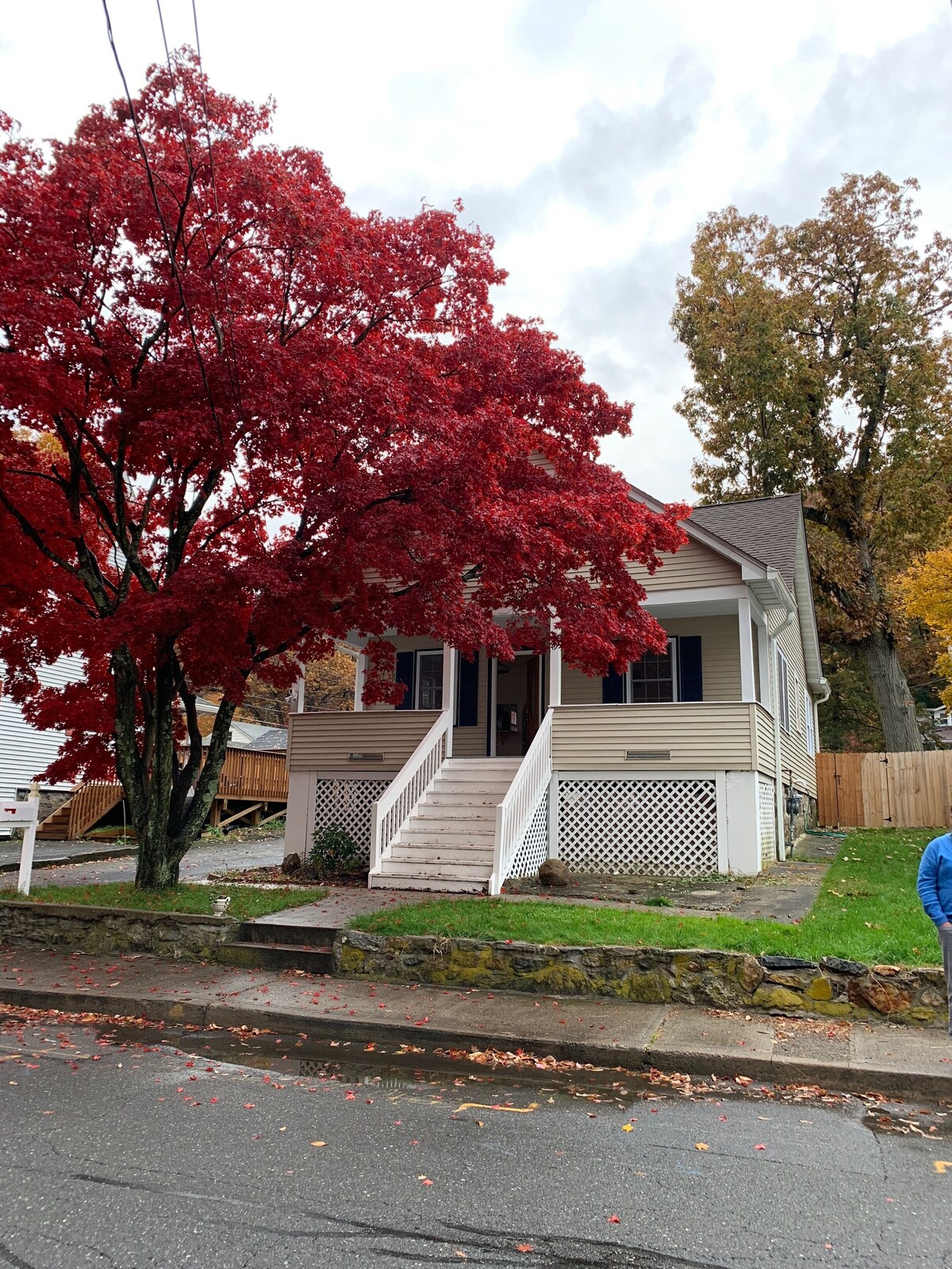 Image de profil de l’hôte