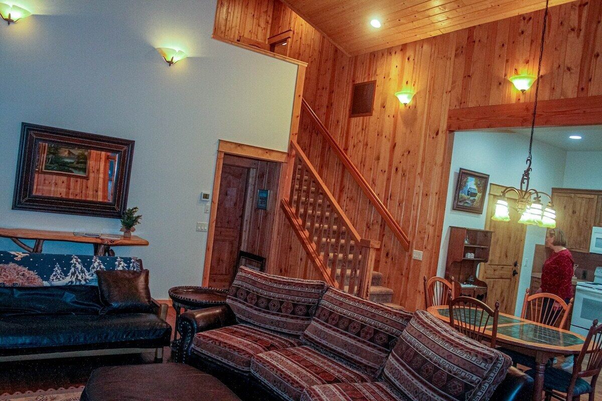 TV, fireplace, books