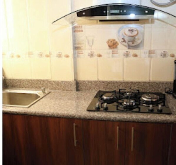 A kitchen with a gas stove, a sink, and wooden cabinets.