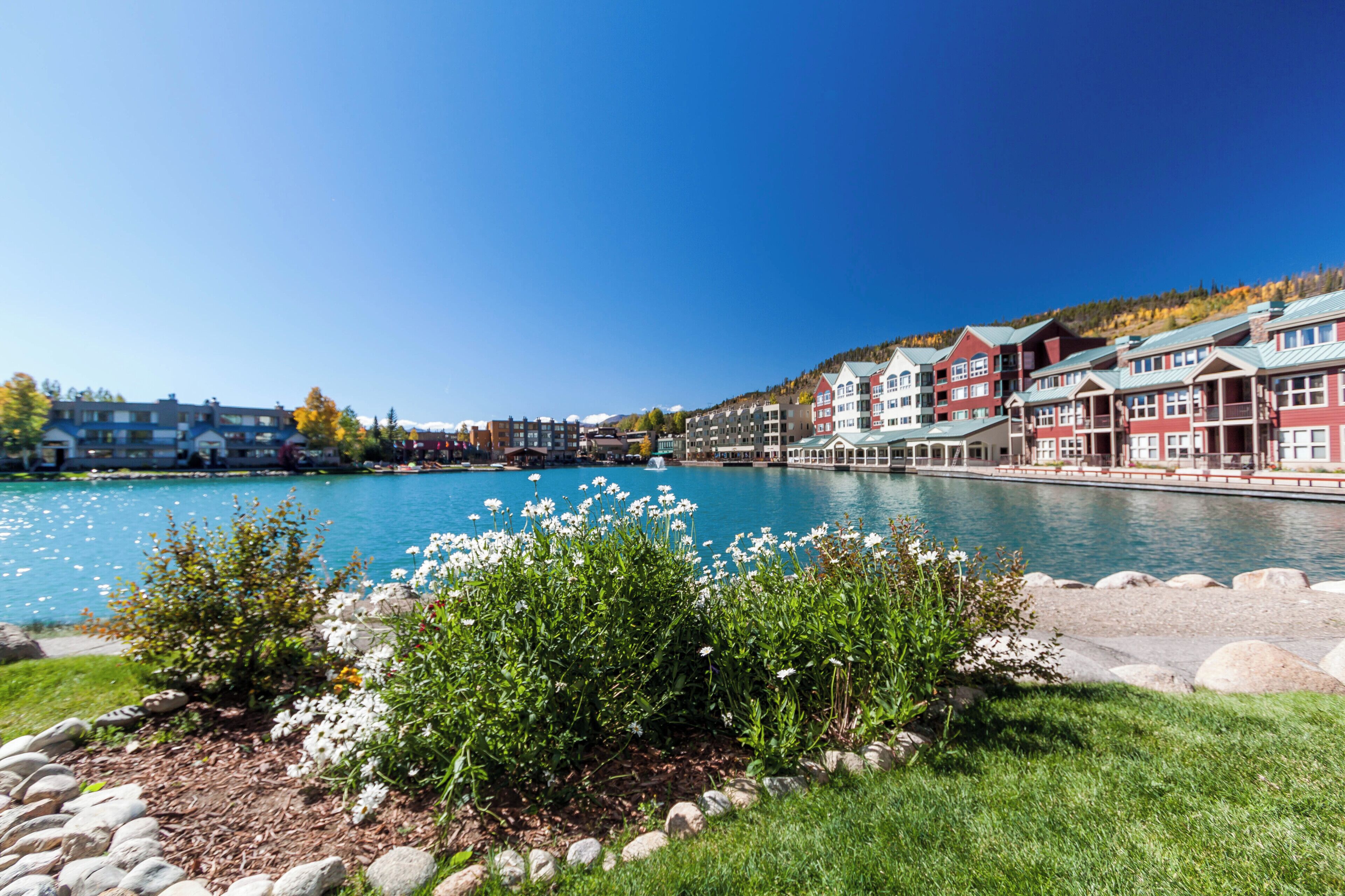 A waterfront hotel with a pool, stone pathway, and lush greenery.