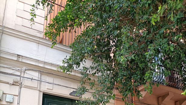 A building with a green door, a sign for 'Viaggiike', and a scooter parked outside. - Nest of the Maximum loft (Palermo)