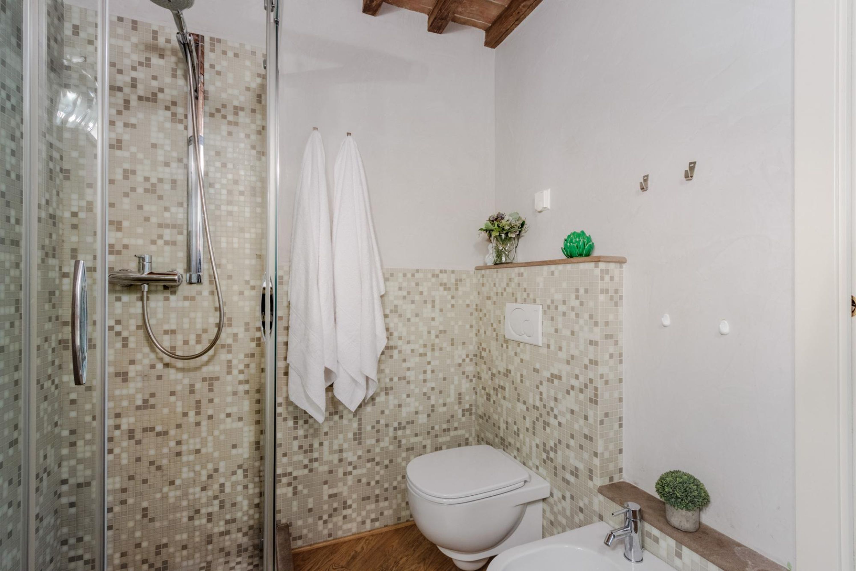A bathroom with a shower, toilet, sink, and decorative plants.