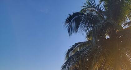 Majestic views of Pitons, Caribbean sea, amazing sunsets right from your room