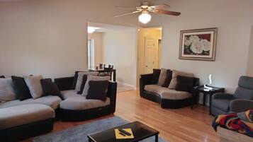 Smart TV, fireplace, DVD player, books