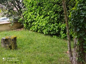 Property grounds - VILLA BETWEEN NATURAL PARKS (Vallgorguina)