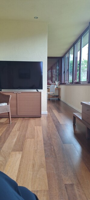 Smart TV, fireplace, video games, DVD player - VILLA BETWEEN NATURAL PARKS (Vallgorguina)