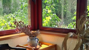 Un coin repas avec une table ronde, une chaise, un vase contenant des plantes séchées et une vue sur la verdure grâce à de grandes fenêtres.