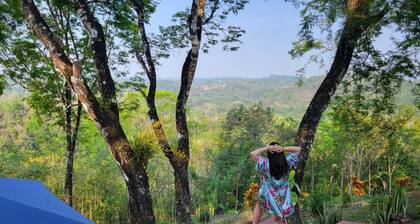 Luxury, affordable, close to town and all of the attractions in the CAYO area...